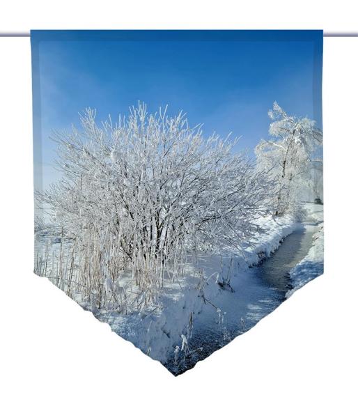 Am Winterbächle, Scheibenhänger spitz